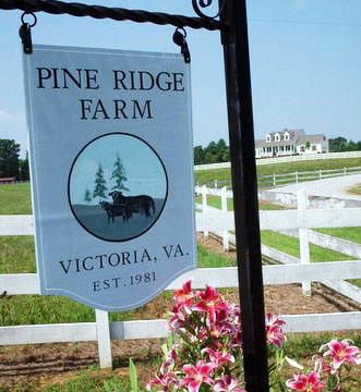 Pine Ridge Farm