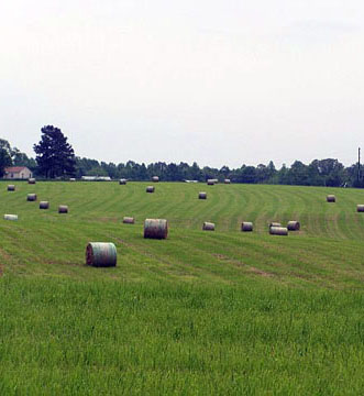 Pine Ridge Farm